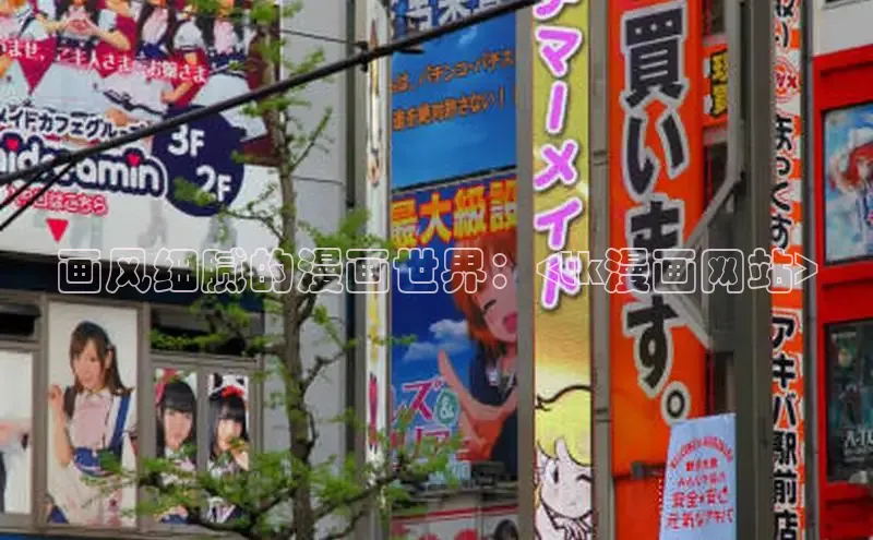 画风细腻的漫画世界：<tk漫画网站>